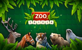 Image Zoo Trivia